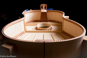 Guitarra por dentro sin montar